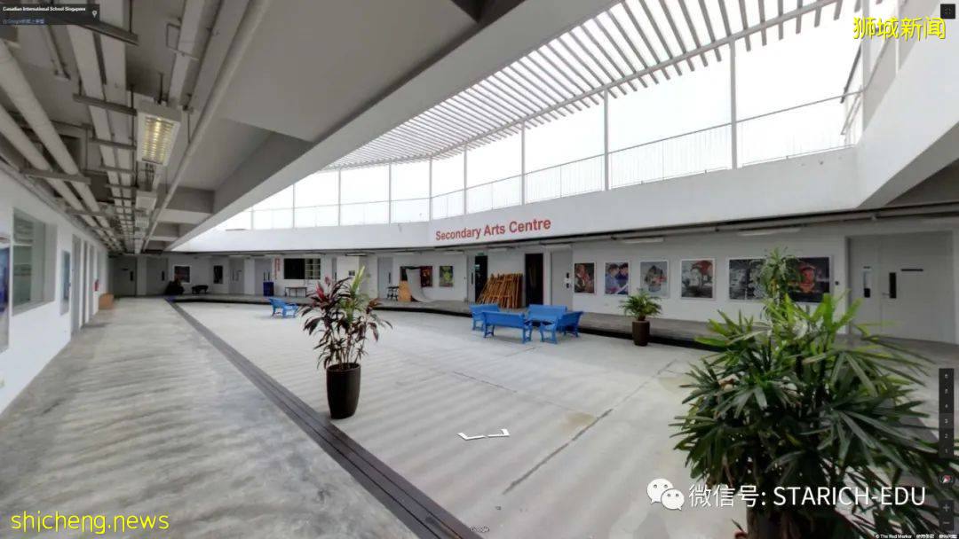 一天英文、一天中文的教学模式你见过吗?这所学校的中英教育受用终生