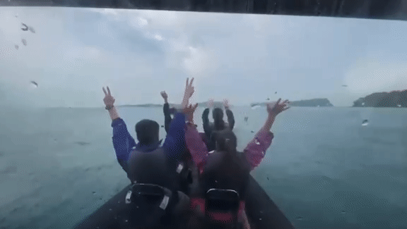 刺激！新加坡最酷的海上运动，1小时乘海军飞艇游5个岛，感觉爽飞了