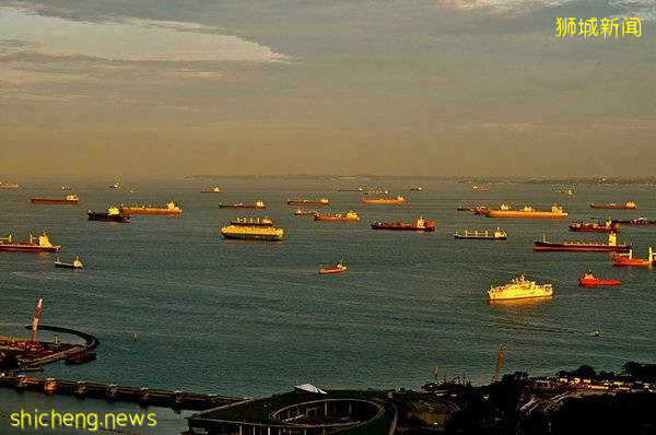 ◤新国CCB◢印度外劳播毒  狮城再添感染群