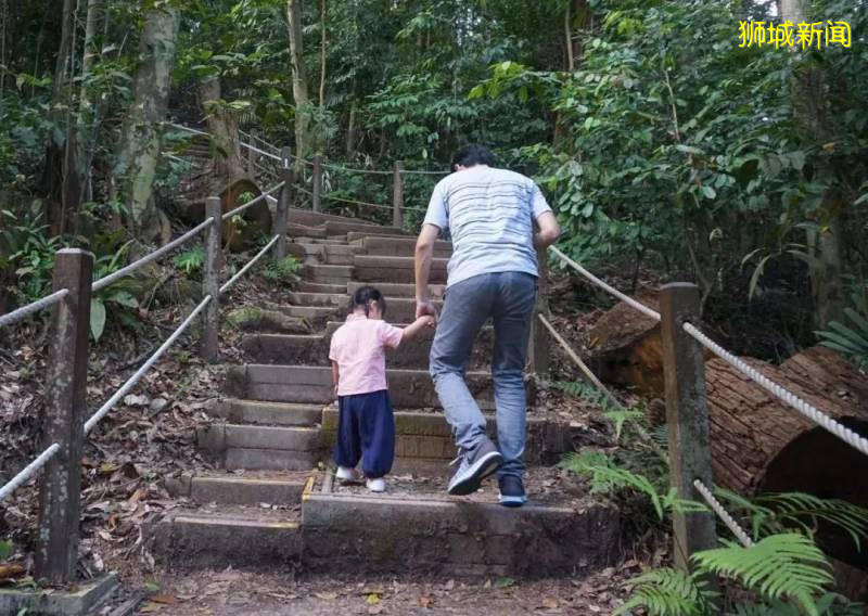 新加坡武吉知馬山，溜娃的好地方