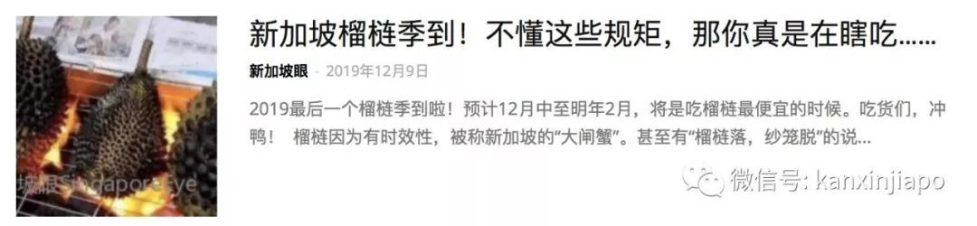 真实！新加坡常驻居民的四季是这样......