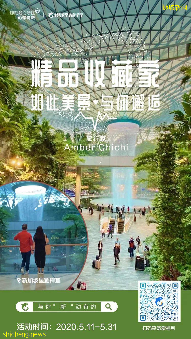 这个520,狮城拍了拍你并与你“新”动有约