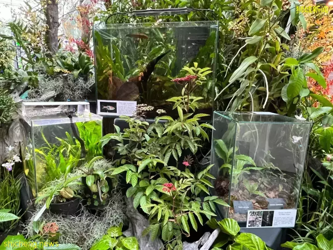 免費！新加坡冷門展覽，模擬城市、光影互動、記憶風車！你肯定不知道