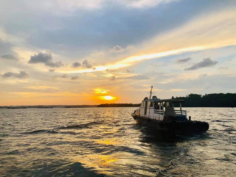 去吃新加坡最新鲜的海鲜!出海到海上奎笼吃海鲜!现捞现吃超美味