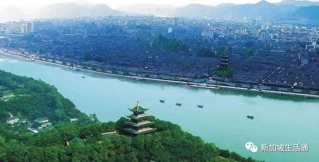 新加坡少年与川菜“火山飘雪”之风波