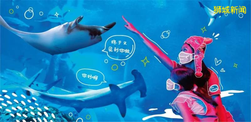 新加坡多个景点已重新开放，带你看看狮城的新变化