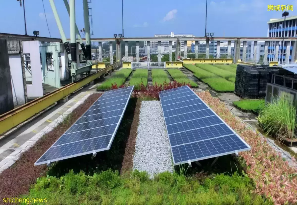 设紧急按钮和提升微电网 乌敏岛改善生活设施