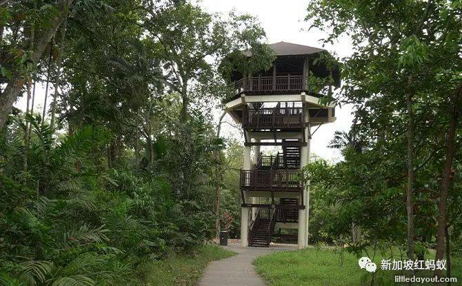 新加坡东部有趣的地标真不少,猜你一定叫不出它们的名字