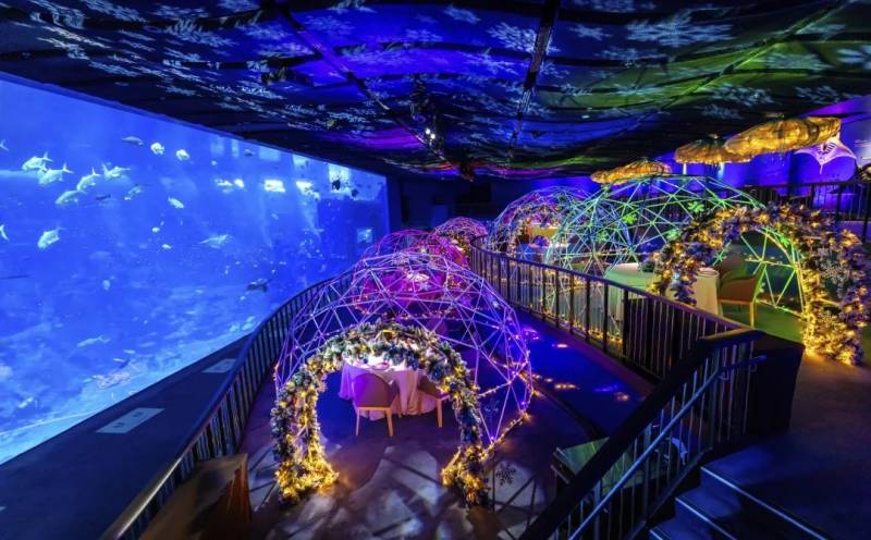 【周末去哪玩】樟宜機場恐龍嘉年華、淘奇多奇冰雪假日、烏節路聖誕燈飾、精靈寶可夢探索等等等