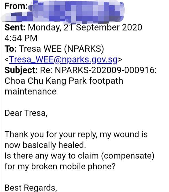 公园夜跑被绊倒,新加坡政府处理流程全记实