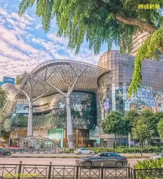 我勸你,千萬別來新加坡