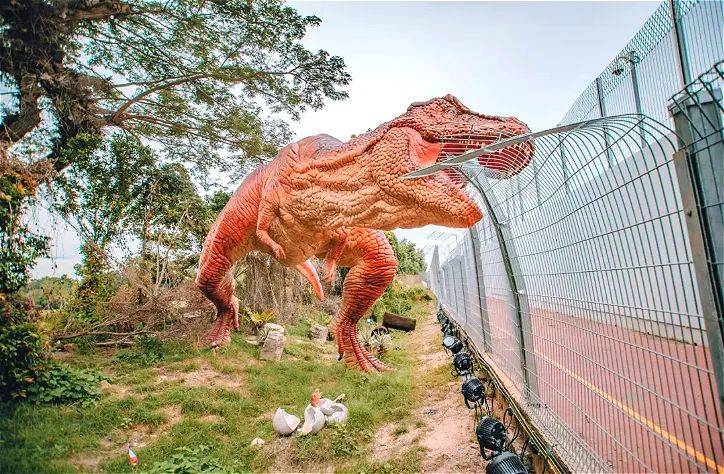 新加坡開放簽證！免隔離！這些小衆景點不可錯過