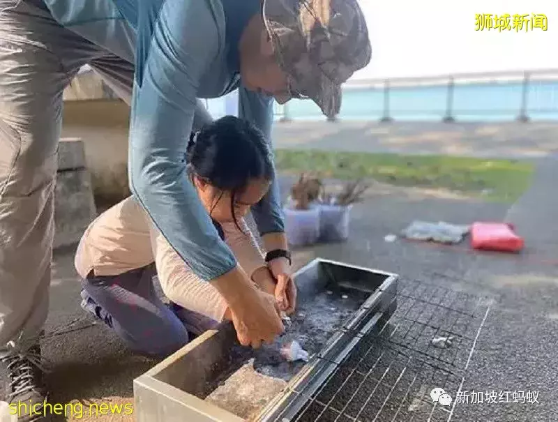 周末不上補習班　越來越多新加坡家長讓孩子到戶外學爬樹和砍柴