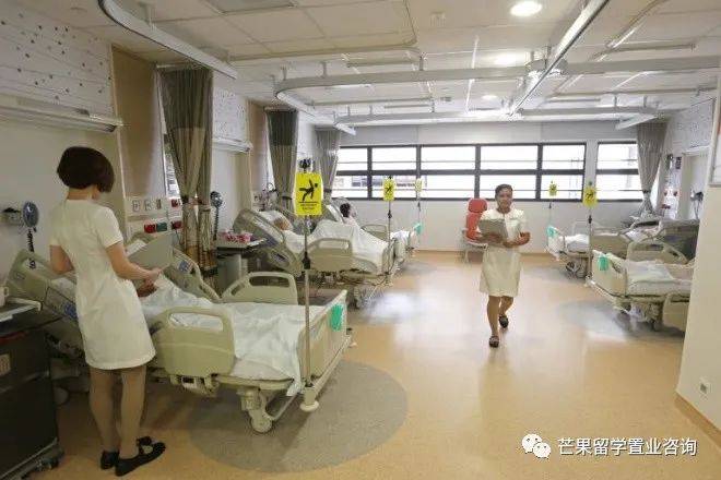 新加坡醫療之政府醫院