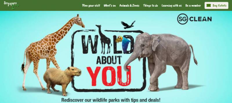 新加坡冷知识大盘点,看看你对新加坡了解多少