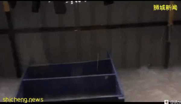 新加坡狂下豪雨,多处变汪洋,瞬间“入冬”