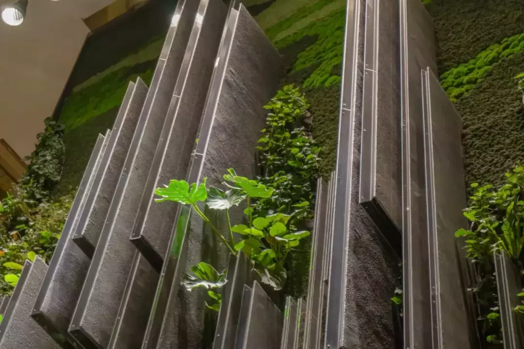 拥有2400多种植物,还有小鸟生活,新加坡这家酒店太美