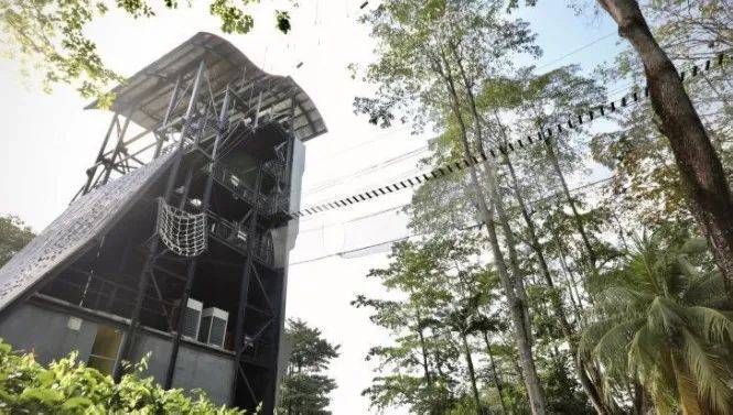 戶外教育業者要求,教練佩戴攝像機並有其他教練監督