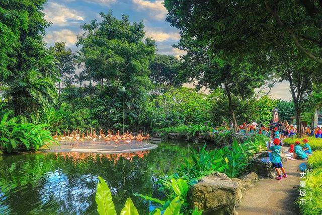 城市綠道，新加坡的“軟實力”