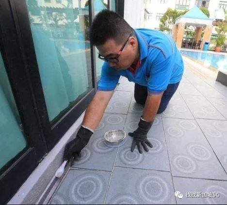 新加坡骨痛熱症首次回落三位數！但依舊“陰魂不散”