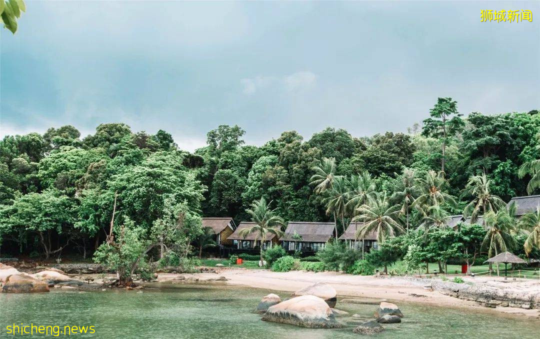 打破传统市区游,轻松逛新加坡两大后花园