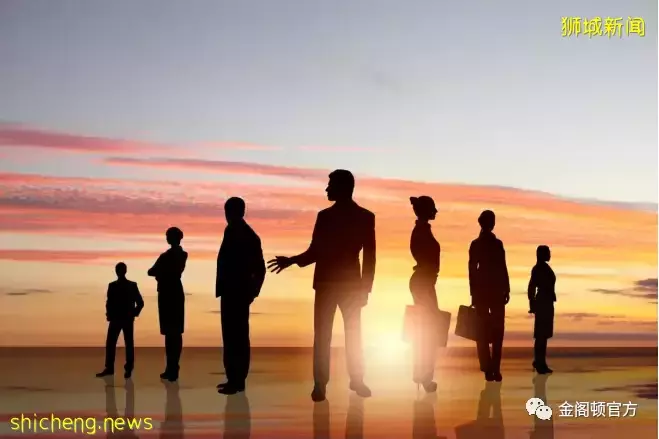 新加坡公司注冊（下）新加坡公司注冊的類型