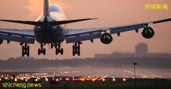 因疫情反而兴旺的新加坡,凭什么