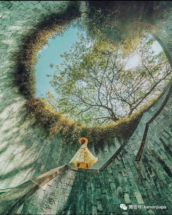 免费网红打卡胜地,你去过几个