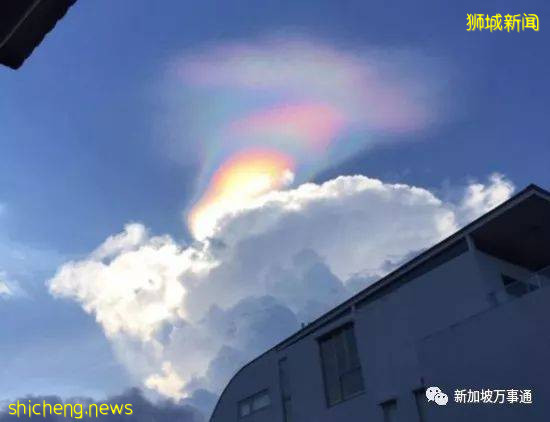 什麽是新加坡?盤點那些你不知道的新加坡知識