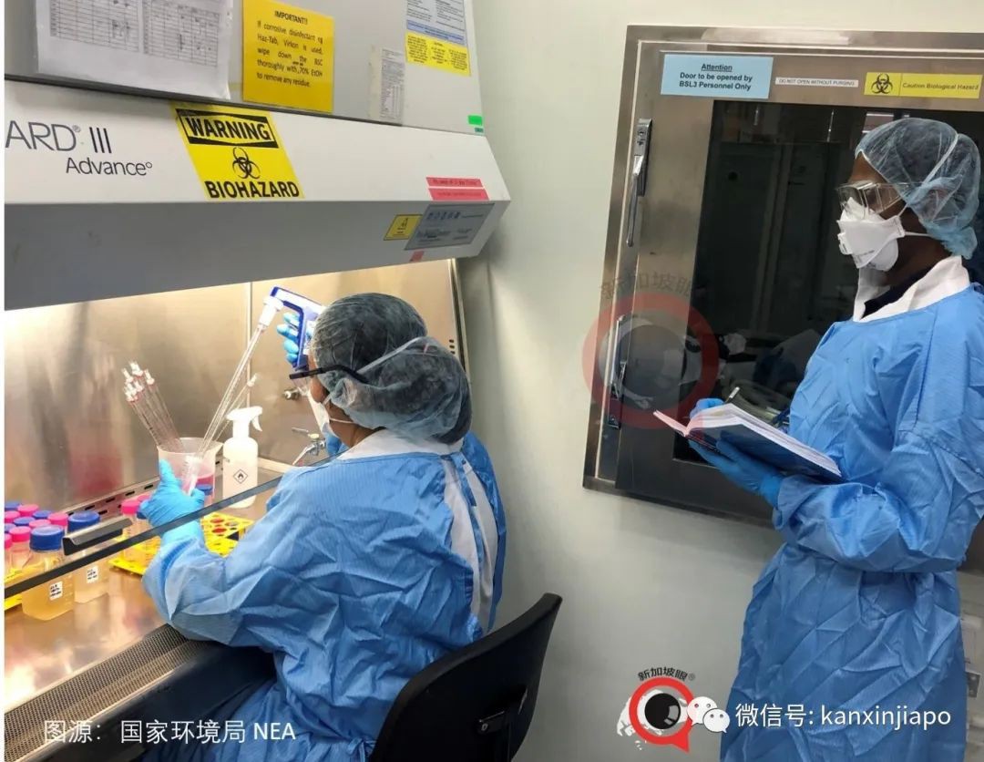 今增X，累计X | 再放宽！新加坡人抵达马来西亚后不需要隔离和检测