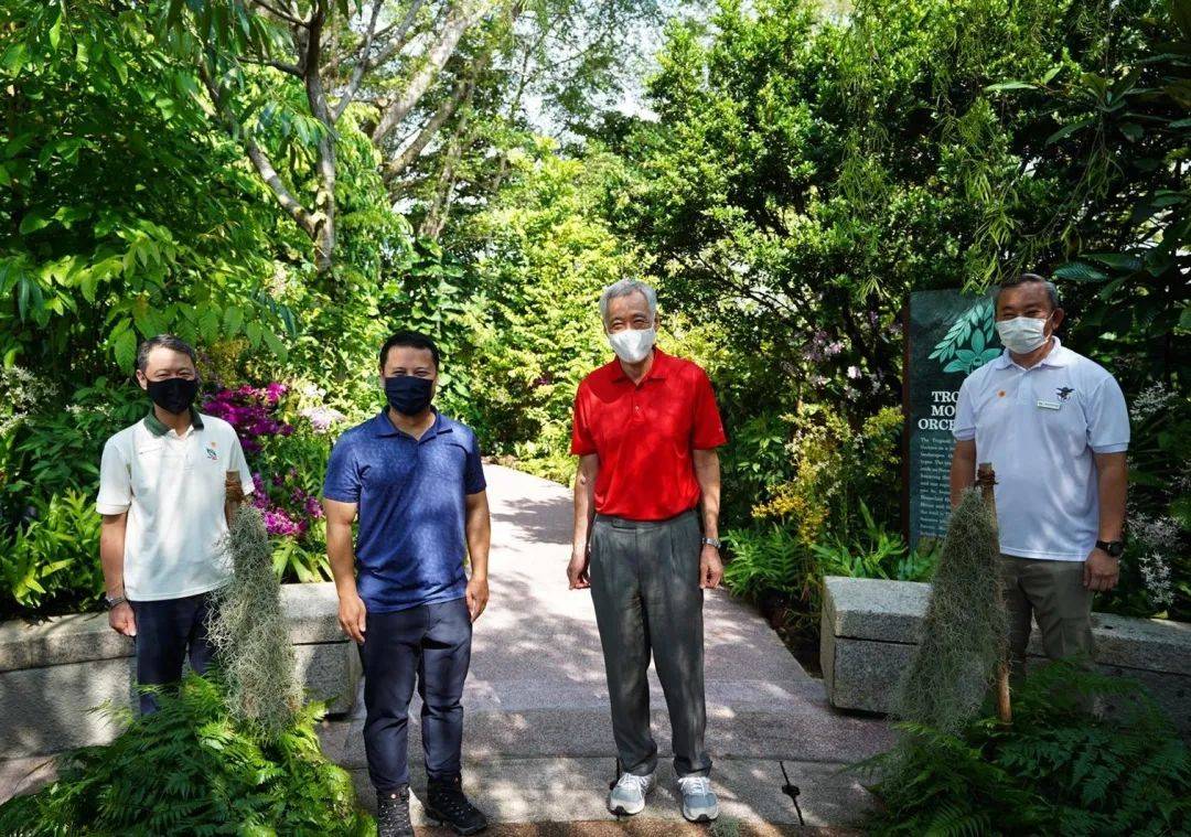 新加坡热带高山胡姬展览馆开幕;国家胡姬花园将免费开放至4月11日