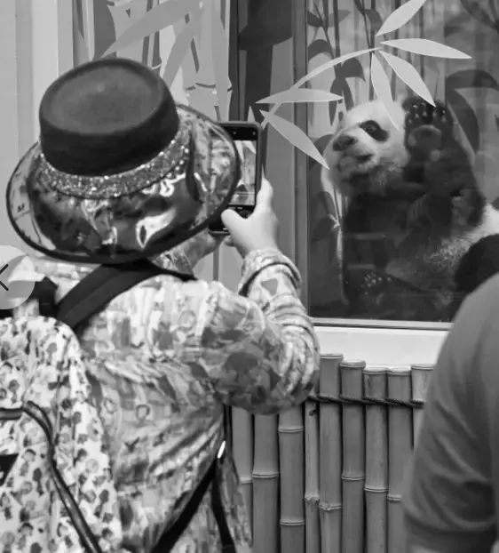 對不起,新加坡變了!“2021年最後一天,我突然想起這50個瞬間”