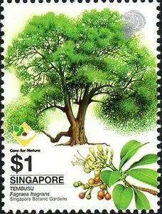 周末了，是時候環遊世界了，新加坡小桂林了解一下
