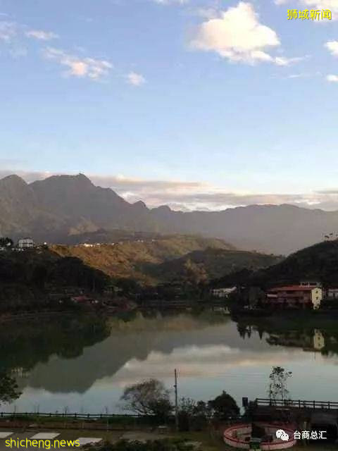 新加坡科技研究證明: 喝茶可以保護大腦