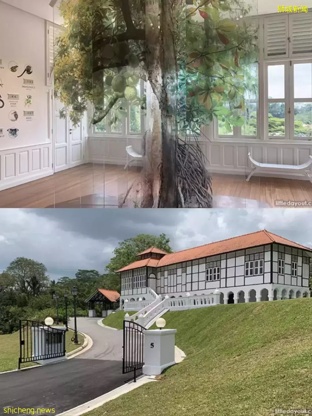 秒出大片!新加坡超火网红打卡景点,一秒穿越到国外