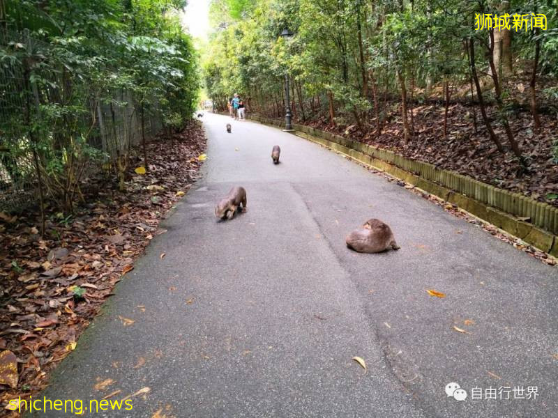 疫情過後,去新加坡不可錯過的16個體驗!