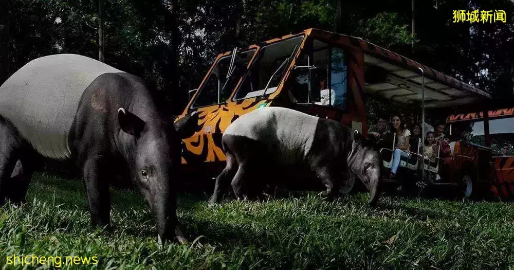 六一去哪儿玩，盘点新加坡亲子游景点攻略