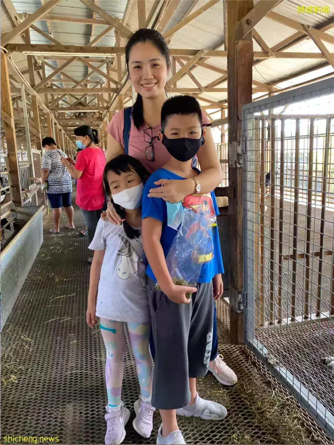 下水抓蛙、摘菜摸鱼、开土摩托……我带娃体验了一把新加坡的农家乐