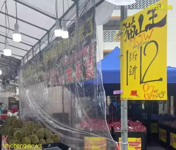 大馬唱豐收 獅城貓山王大跌價