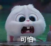 惊!新加坡蓄水池旁出现大量粉色生物……慎点