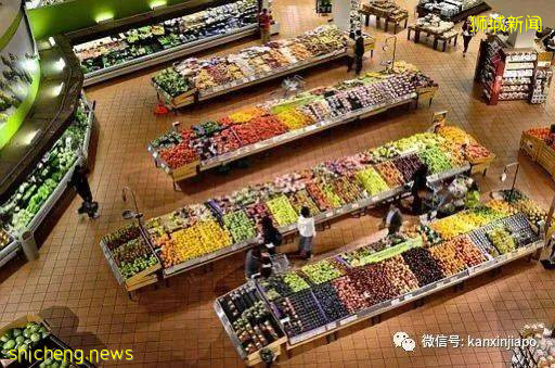 馬來西亞菜價漲40%至300%,新加坡菜價會漲嗎!