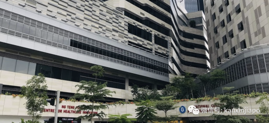 新增X，累计X万 | 制造业下周二逐步复工，新加坡经济砥砺前行