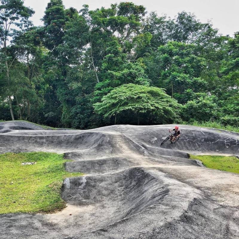 Chestnut Nature Park城市裏的世外桃園🌸 天空之境獨木橋、越野騎行、徒步放松好去處