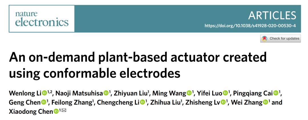 南洋理工大學團隊開發溝通裝置,能讓植物“張嘴說話”