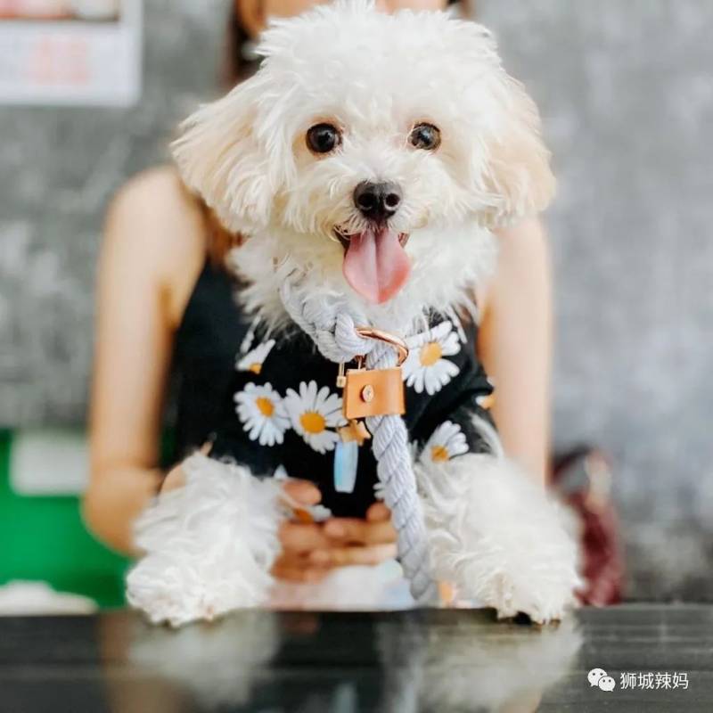 新加坡10間特色主題餐廳！哈利波特、愛麗絲、DC、雙子星就等你來打卡啦