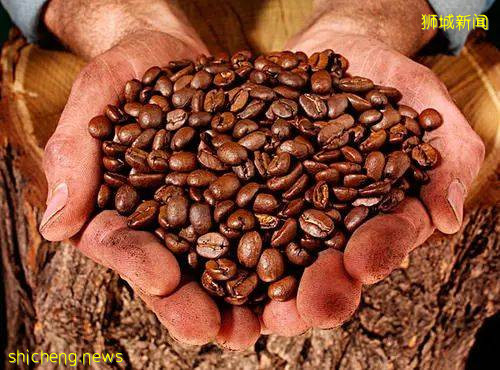 体验新加坡生活从一杯南洋咖啡开始