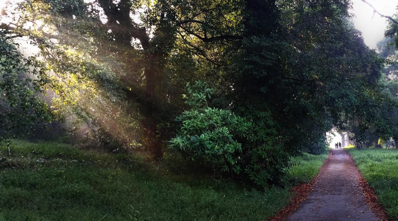 那些年在海星吸“烟”的日子