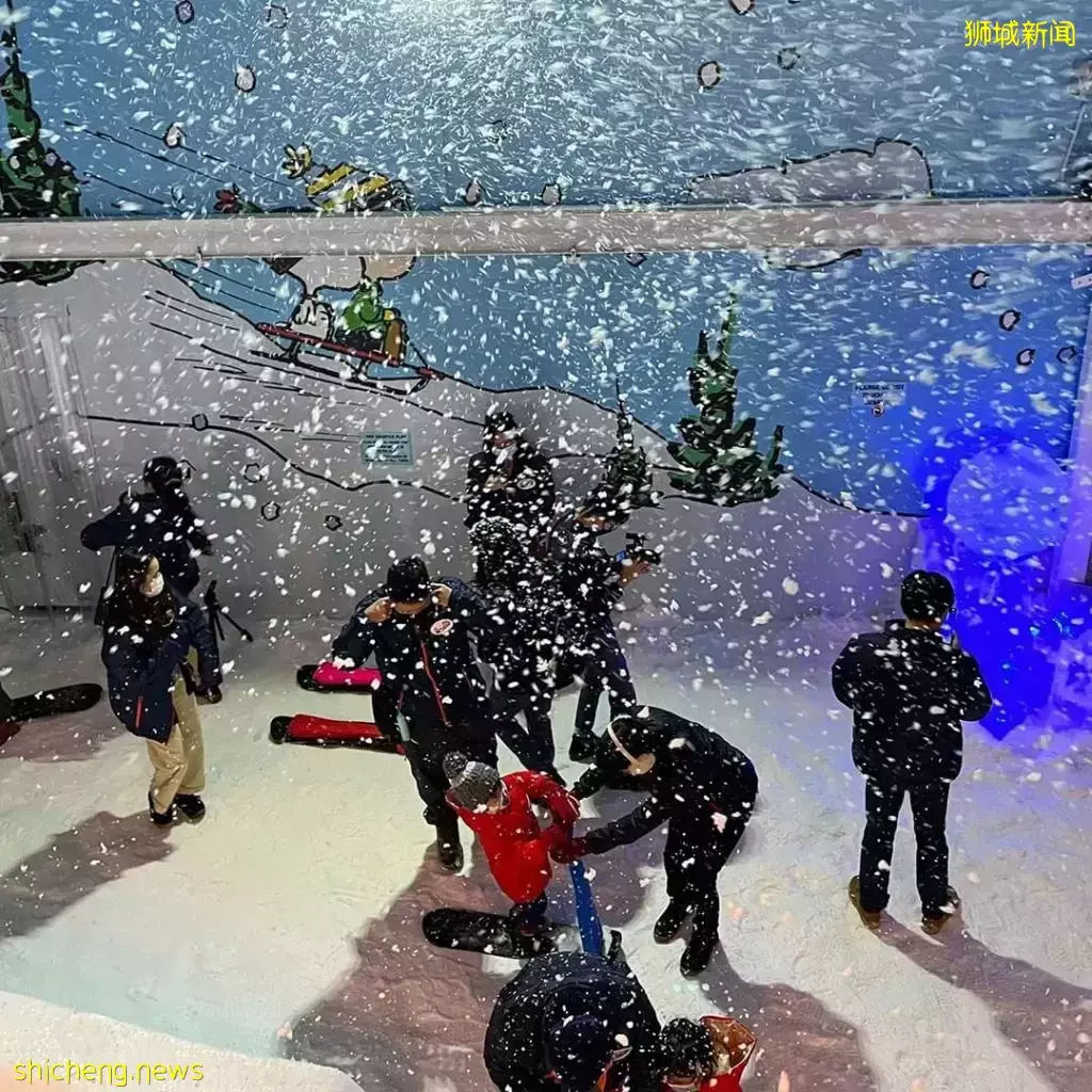 樟宜机场下雪了！6月假期，在空中花园看露天电影，和BTS亲密互动