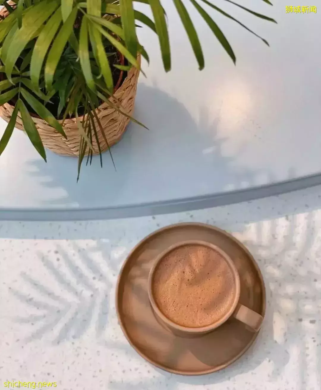 狮城の澳洲风情咖啡馆有哪些？一起来开启澳式慵懒午后吧