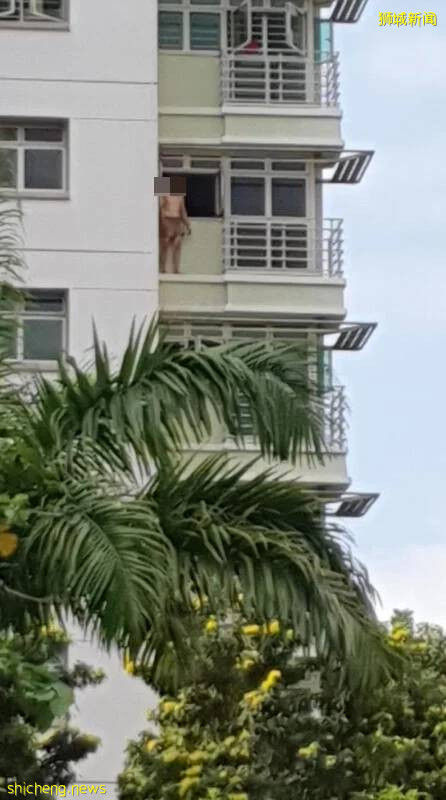 家暴丈夫复合无望,疯狂刺妻子18刀后跳楼自杀!只留下三个孩子